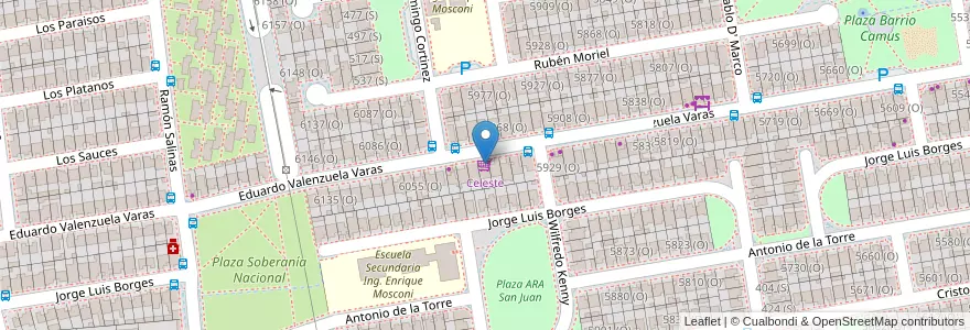 Mapa de ubicacion de Celeste en الأرجنتين, سان خوان, تشيلي, Rivadavia.