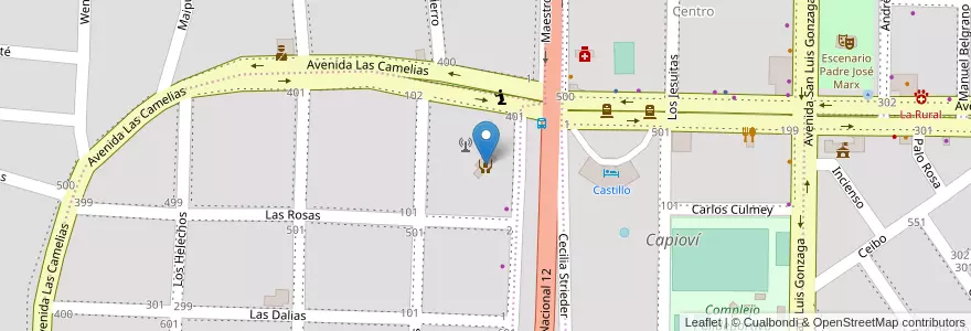 Mapa de ubicacion de Centro de Jubilados y Pensionados de Capioví en Arjantin, Misiones, Departamento Libertador General San Martín, Municipio De Capioví, Capioví.