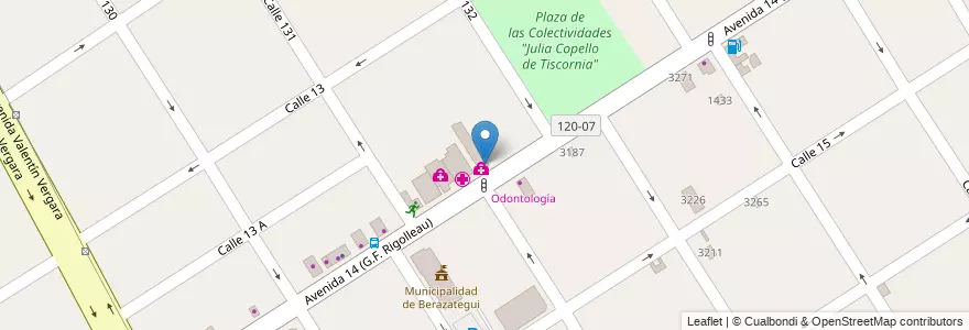 Mapa de ubicacion de Centro de Salud Mental Municipal Ramón Carrillo en 아르헨티나, 부에노스아이레스주, Partido De Berazategui, Berazategui.