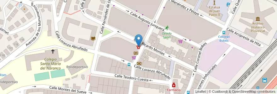 Mapa de ubicacion de Centro Veterinario Ciudad Naranco en اسپانیا, آستوریاس, آستوریاس, Oviedo.