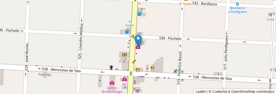 Mapa de ubicacion de Clinica Privada Hocsman en Arjantin, Buenos Aires, Partido De Tres De Febrero, Caseros.
