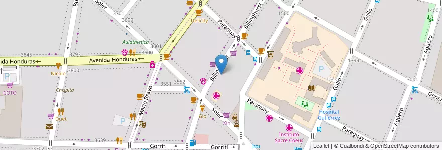 Mapa de ubicacion de Colegio Nuevo Guido Spano, Recoleta en Argentine, Ciudad Autónoma De Buenos Aires, Comuna 2, Buenos Aires.