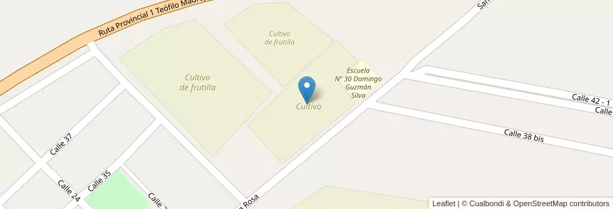 Mapa de ubicacion de Cultivo en Arjantin, Santa Fe, Departamento La Capital, Municipio De Arroyo Leyes.