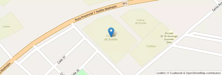 Mapa de ubicacion de Cultivo de frutilla en Argentinië, Santa Fe, Departamento La Capital, Municipio De Arroyo Leyes.