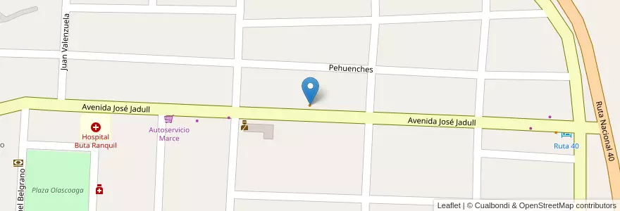 Mapa de ubicacion de Dark Pub en アルゼンチン, チリ, ネウケン州, Departamento Pehuenches, Buta Ranquil.