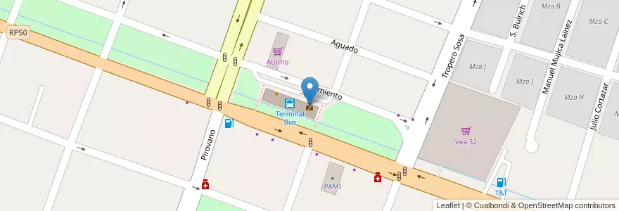 Mapa de ubicacion de Destacamento Policía Terminal en Arjantin, Şili, Mendoza, Departamento San Martín, Distrito Ciudad De San Martín.