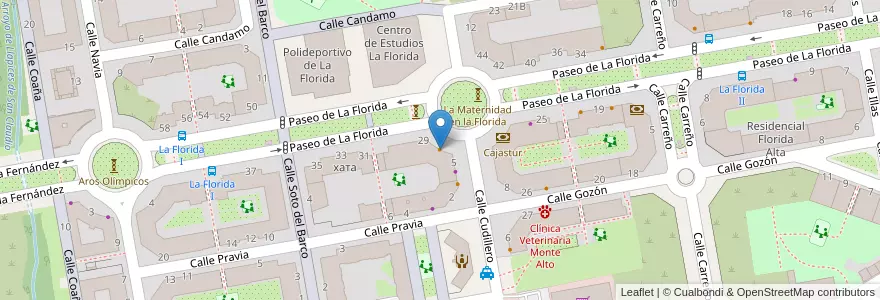 Mapa de ubicacion de Domino's Pizza en スペイン, アストゥリアス州, アストゥリアス州, Oviedo.