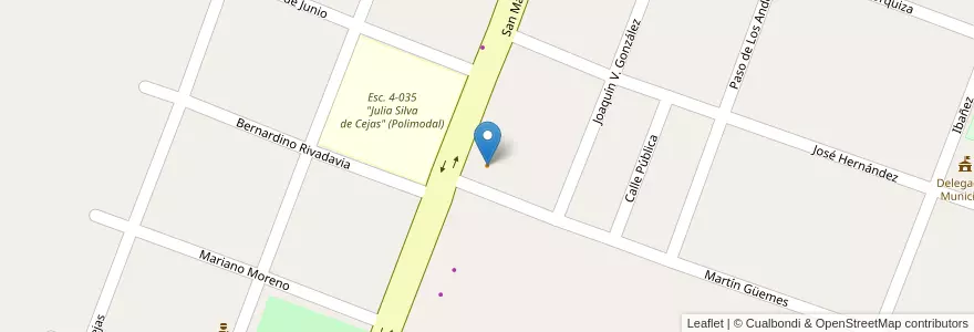 Mapa de ubicacion de Don Alico en Arjantin, Şili, Mendoza, Departamento Tunuyán, Distrito Vista Flores.