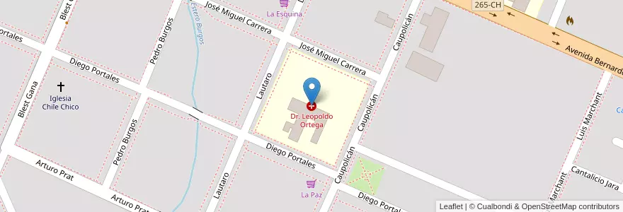 Mapa de ubicacion de Dr. Leopoldo Ortega en アイセン・デル・ヘネラル・カルロス・イバニェス・デル・カンポ州.