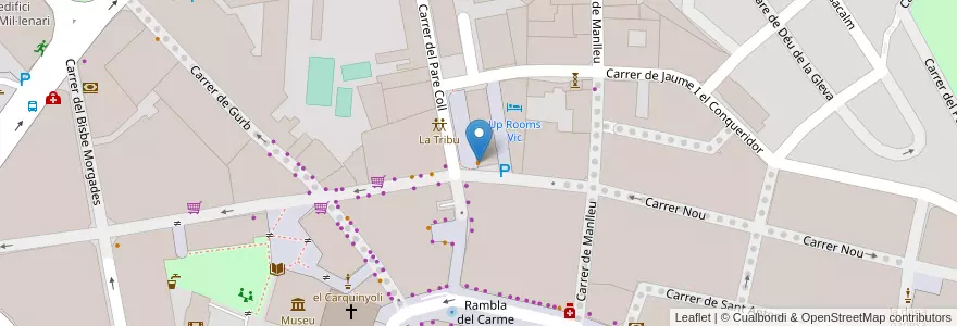 Mapa de ubicacion de El Portal en 스페인, Catalunya, Barcelona, Osona, Vic.