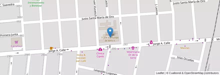 Mapa de ubicacion de Escuela 1-316 Edmondo de Amicis en 아르헨티나, 칠레, Mendoza, Departamento Capital, Ciudad De Mendoza.