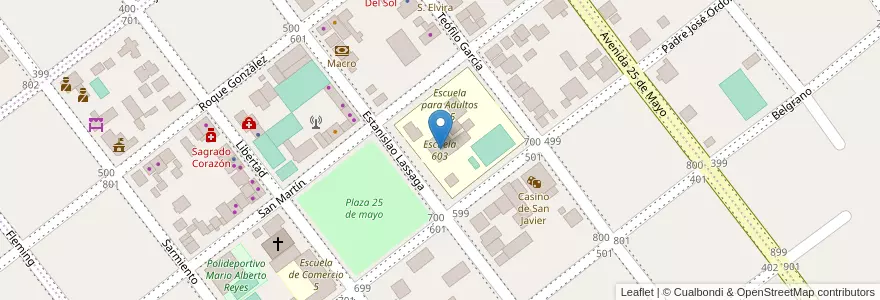 Mapa de ubicacion de Escuela 603 en Arjantin, Misiones, Departamento San Javier, Municipio De San Javier.