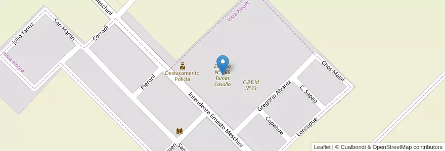 Mapa de ubicacion de Escuela N° 166 Tomas Casullo en Argentina, Cile, Provincia Di Neuquén, Departamento Confluencia, Vista Alegre, Vista Alegre.