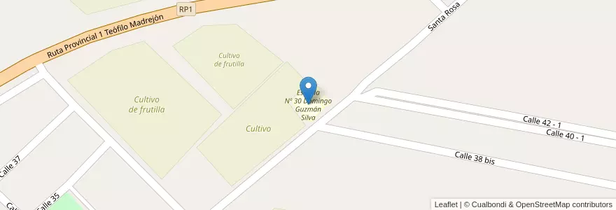 Mapa de ubicacion de Escuela Nº 30 Domingo Guzmán Silva en Argentinien, Santa Fe, Departamento La Capital, Municipio De Arroyo Leyes.