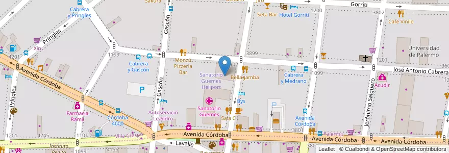 Mapa de ubicacion de Estacionamiento, Palermo en Argentina, Ciudad Autónoma De Buenos Aires, Buenos Aires.