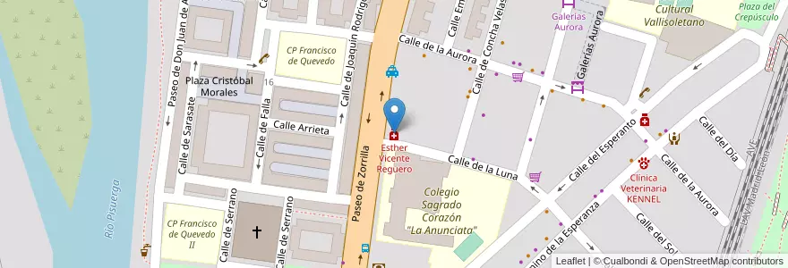 Mapa de ubicacion de Esther Vicente Reguero en Spagna, Castilla Y León, Valladolid, Valladolid.