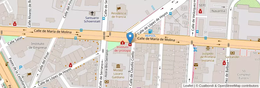 Mapa de ubicacion de Farmacia - Calle María de Molina 22 en Spanje, Comunidad De Madrid, Comunidad De Madrid, Área Metropolitana De Madrid Y Corredor Del Henares, Madrid.