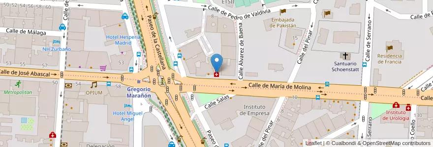 Mapa de ubicacion de Farmacia - Calle María de Molina 3 en Испания, Мадрид, Мадрид, Área Metropolitana De Madrid Y Corredor Del Henares, Мадрид.