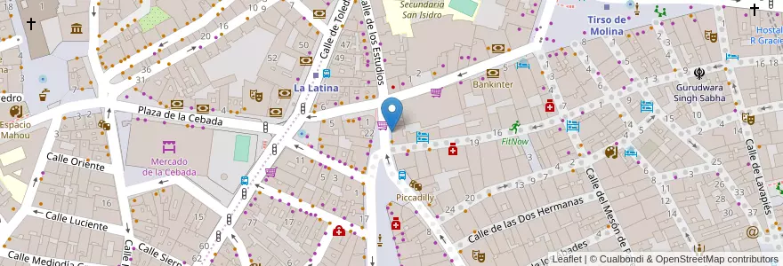 Mapa de ubicacion de Farmacia - Plaza Cascorro 2 en اسپانیا, بخش خودمختار مادرید, بخش خودمختار مادرید, Área Metropolitana De Madrid Y Corredor Del Henares, مادرید.
