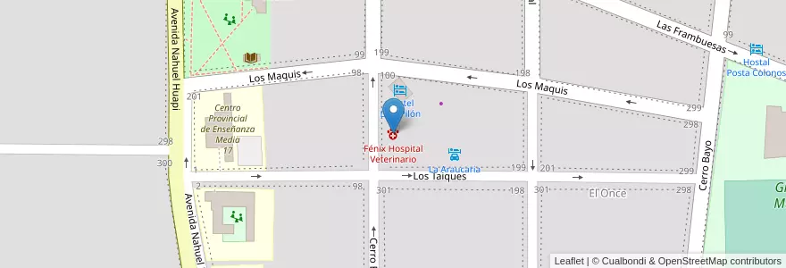 Mapa de ubicacion de Fénix Hospital Veterinario en آرژانتین, شیلی, استان نئوکن, Departamento Los Lagos, Villa La Angostura, Villa La Angostura.