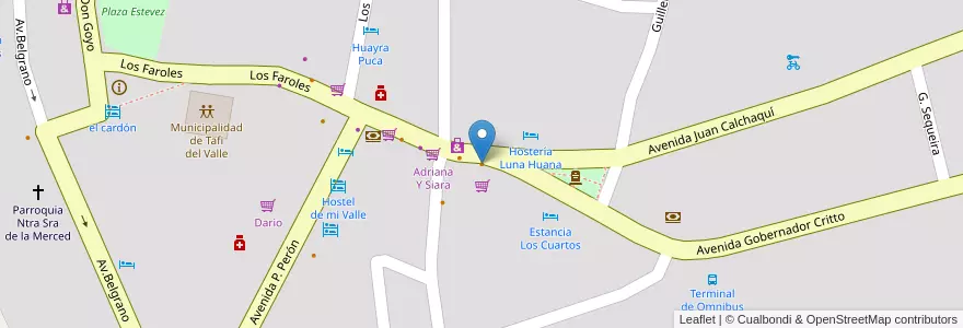 Mapa de ubicacion de Flor del Sauco en アルゼンチン, トゥクマン州, Departamento Tafí Del Valle, Municipio De Tafí Del Valle, Tafí Del Valle.