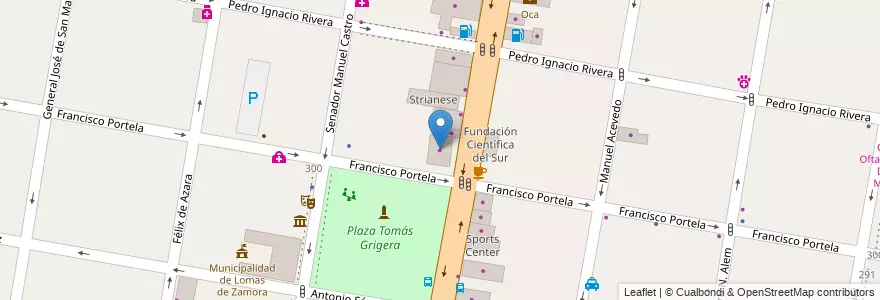 Mapa de ubicacion de Ford - Luis Strianese S A en 阿根廷, 布宜诺斯艾利斯省, Partido De Lomas De Zamora, Lomas De Zamora.