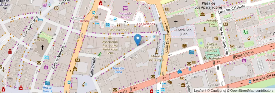 Mapa de ubicacion de Fotografía Sedano en İspanya, Castilla Y León, Burgos, Alfoz De Burgos, Burgos.