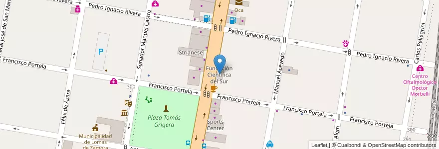 Mapa de ubicacion de Fundación Científica del Sur en アルゼンチン, ブエノスアイレス州, Partido De Lomas De Zamora, Lomas De Zamora.