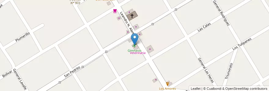 Mapa de ubicacion de Gimnasio en Arjantin, Buenos Aires, Partido De Esteban Echeverría, Monte Grande.