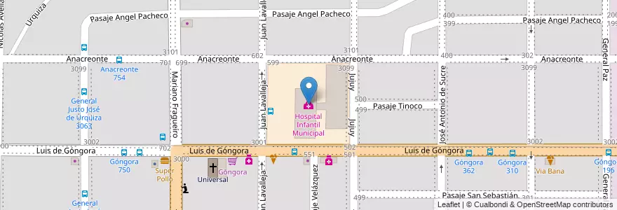 Mapa de ubicacion de Hospital Infantil Municipal en Arjantin, Córdoba, Departamento Capital, Pedanía Capital, Córdoba, Municipio De Córdoba.