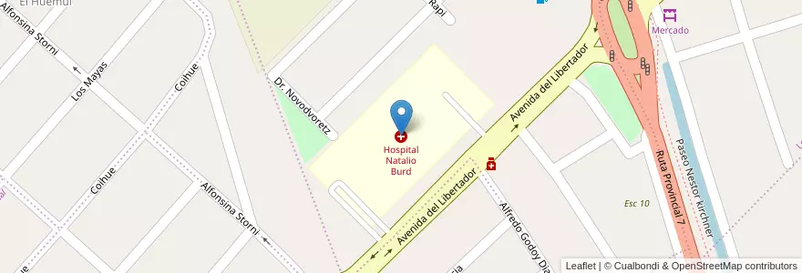 Mapa de ubicacion de Hospital Natalio Burd en Argentinië, Chili, Neuquén, Departamento Confluencia, Centenario.