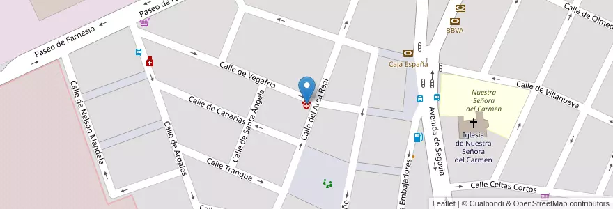 Mapa de ubicacion de Hospital Veterinario 24h Arca Real en スペイン, カスティーリャ・イ・レオン州, Valladolid, Valladolid.