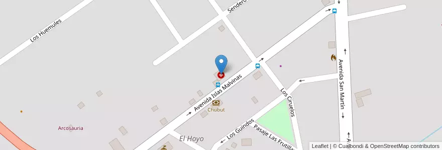 Mapa de ubicacion de Hospital Zonal en Argentina, Chile, Chubut, Departamento Cushamen, El Hoyo.