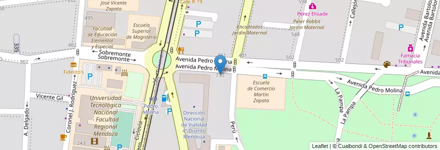 Mapa de ubicacion de Instituto Roberto Piazza - Mendoza en Argentina, Chile, Mendoza, Departamento Capital, Sección 2ª Barrio Cívico, Ciudad De Mendoza.