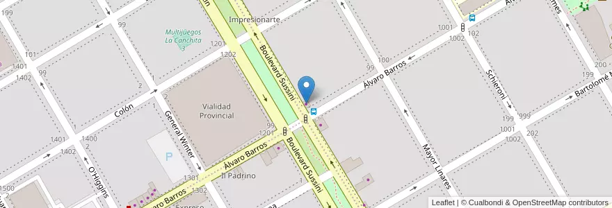Mapa de ubicacion de Kiosco Caris en 아르헨티나, 리오네그로주, Departamento Adolfo Alsina, Viedma, Viedma.