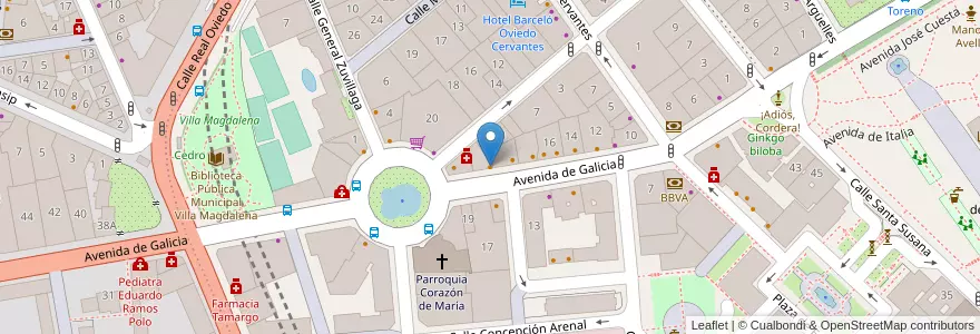 Mapa de ubicacion de La Oveja Negra - parrilla y copas en 스페인, 아스투리아스, 아스투리아스, Oviedo.