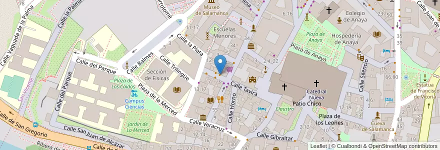 Mapa de ubicacion de La taberna del Ángel en スペイン, カスティーリャ・イ・レオン州, サラマンカ, Campo De Salamanca, サラマンカ.
