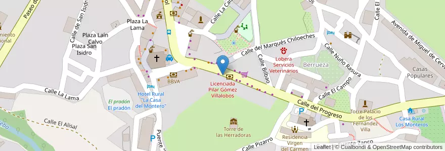 Mapa de ubicacion de Licenciada Pilar Gómez Villalobos en スペイン, カスティーリャ・イ・レオン州, Burgos, Las Merindades, Espinosa De Los Monteros.