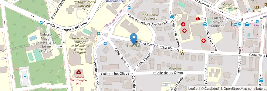 Mapa de ubicacion de Little FEM en 스페인, Comunidad De Madrid, Comunidad De Madrid, Área Metropolitana De Madrid Y Corredor Del Henares, 마드리드.