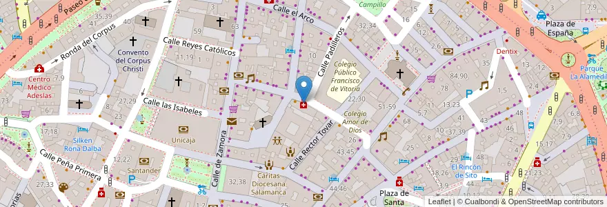 Mapa de ubicacion de Mª Carmen Flores Izquierdo en إسبانيا, قشتالة وليون, شلمنقة, دائرة شلمنقة, شلمنقة.