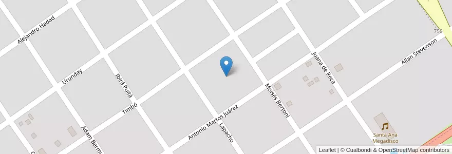 Mapa de ubicacion de Manzana 214 en アルゼンチン, ミシオネス州, Departamento Candelaria, Municipio De Santa Ana, Santa Ana.