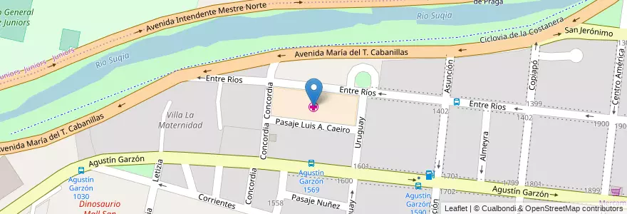 Mapa de ubicacion de Maternidad Provincial Doctor Raúl Felipe Lucini en Argentinien, Provinz Córdoba, Departamento Capital, Pedanía Capital, Córdoba, Municipio De Córdoba.