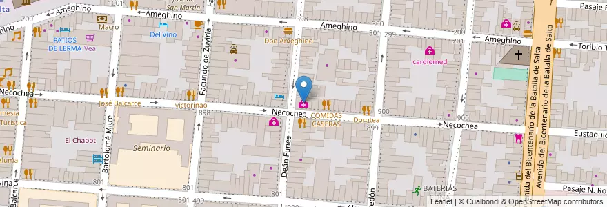 Mapa de ubicacion de MEDICINA NECOCHEA en アルゼンチン, サルタ州, Capital, Municipio De Salta, Salta.