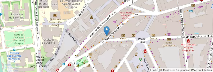 Mapa de ubicacion de Newroz Döner Kebap en スペイン, ガリシア州, A Coruña, Santiago, Santiago De Compostela.