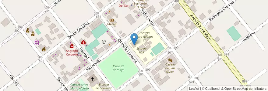 Mapa de ubicacion de Núcleo Educativo de Nivel Inicial 20 en アルゼンチン, ミシオネス州, Departamento San Javier, Municipio De San Javier.