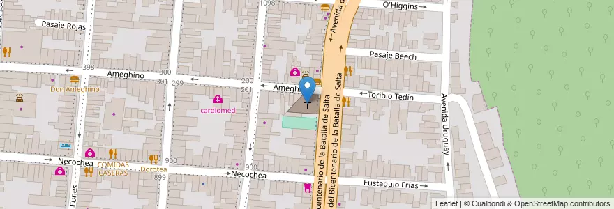 Mapa de ubicacion de Nuestra Señora del Transito en Аргентина, Сальта, Capital, Municipio De Salta, Salta.