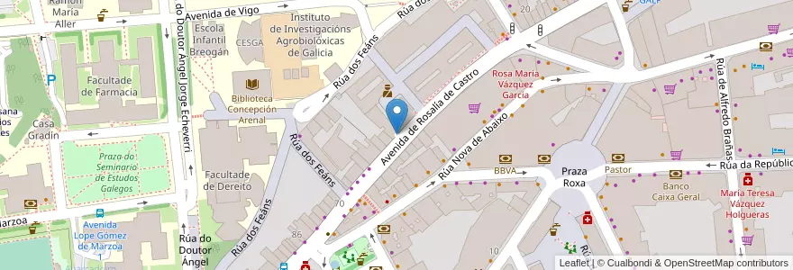 Mapa de ubicacion de Parking Rosalia en 스페인, Galicia / Galiza, A Coruña, Santiago, 산티아고 데 콤포스텔라.