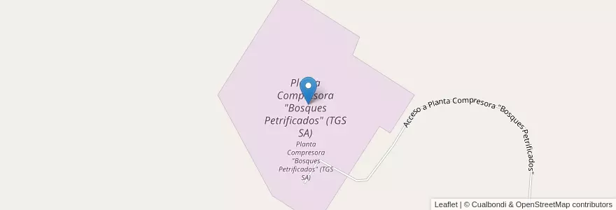 Mapa de ubicacion de Planta Compresora "Bosques Petrificados" (TGS SA) en Argentinien, Provinz Santa Cruz, Deseado.