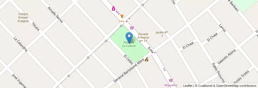 Mapa de ubicacion de Plaza de La Cultura en الأرجنتين, بوينس آيرس, Partido De Esteban Echeverría, El Jagüel.