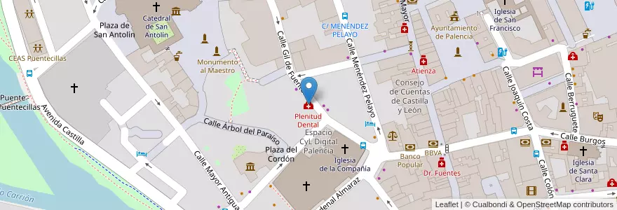 Mapa de ubicacion de Plenitud Dental en España, Castilla Y León, Palencia, Campos, Palencia.